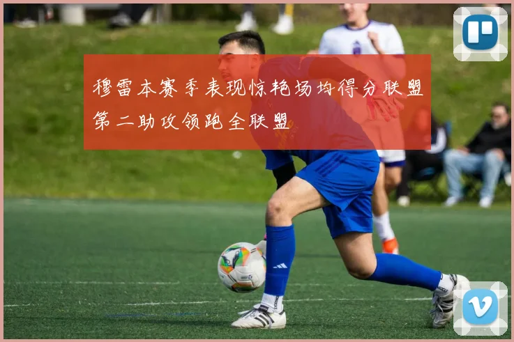 穆雷本赛季表现惊艳场均得分联盟第二助攻领跑全联盟