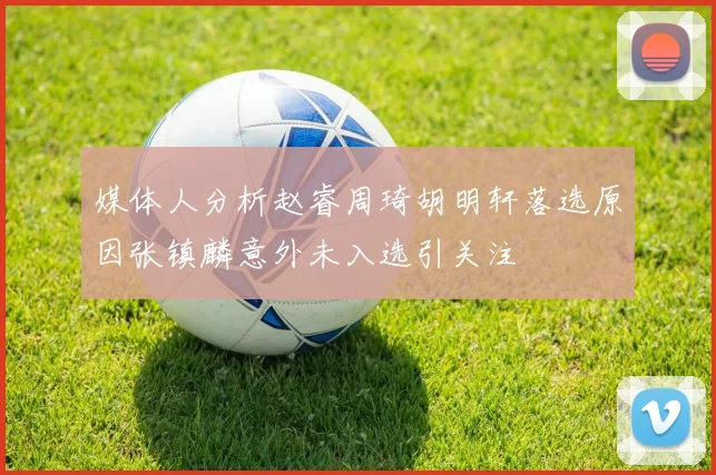 媒体人分析赵睿周琦胡明轩落选原因张镇麟意外未入选引关注